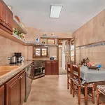 Pintor פורט דה פולנסה