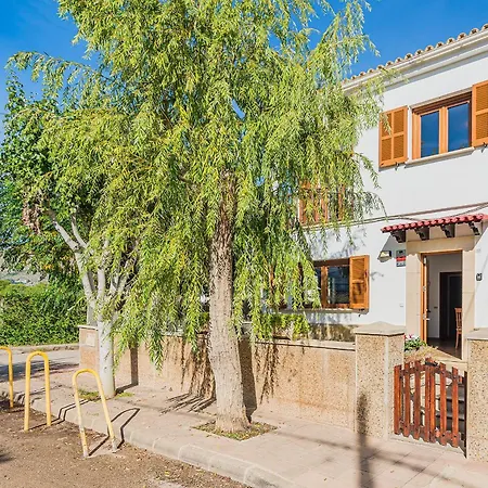 Pintor * بورت دي بوينسا