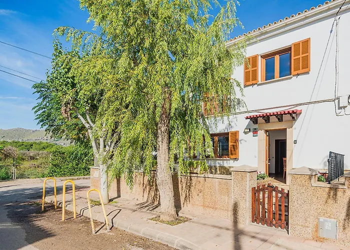 Pintor * بورت دي بوينسا